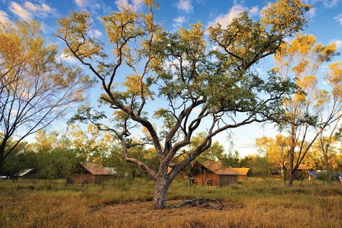Bungle Bungle Wilderness Lodge - Accommodation Port Hedland 5