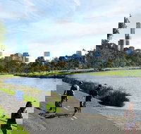 Amity Apartment Hotels - Accommodation Port Hedland