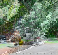 Oasis at Palm Cove - Accommodation Port Hedland