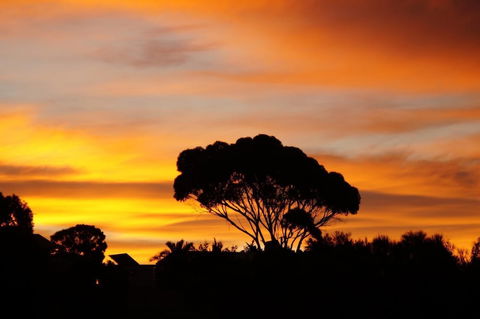 Lindsays Of Kangaroo Island - Accommodation Port Hedland 0