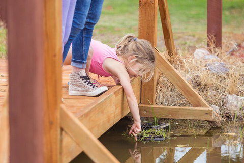Tindarra Resort - Accommodation Port Hedland 5