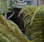 The Wombat Cottage - Accommodation Port Hedland