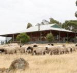 Gilgraves Vineyard Farmstay - Accommodation Port Hedland