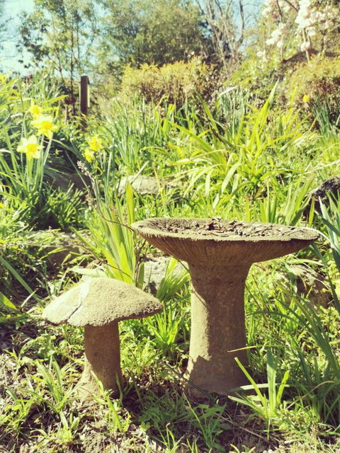 Lake House Benalla - Accommodation Port Hedland 6