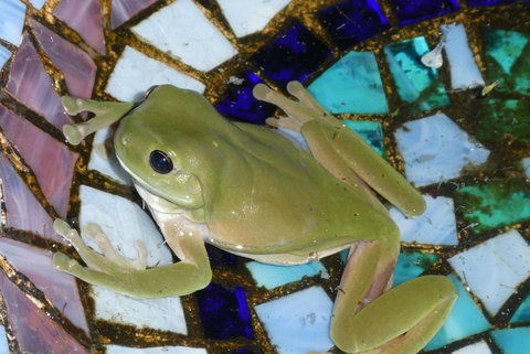 Kookaburra Cottage At Uralba Eco Cottages - Accommodation Port Hedland 4