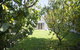 GALWAY COTTAGE - thumb 4