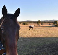 Clydesdale Cottage on Talga with real Clydesdale Horses - Accommodation Port Hedland