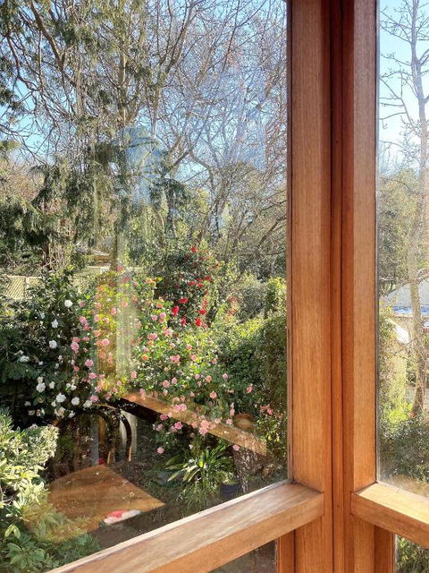 Adelaide Hills Camellia Cottage WiFi - Accommodation Port Hedland 6