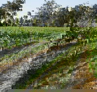 Renovated Cottage Aberdare Hunter Valley - Accommodation Port Hedland