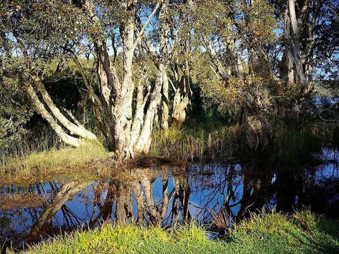 Wisteria Cottage On The Lagoon / Beach - Accommodation Port Hedland 4