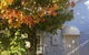 Maison Blue Pty Ltd Adelaide - thumb 0