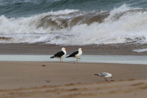 LOCKINGTON - Accommodation Port Hedland 6