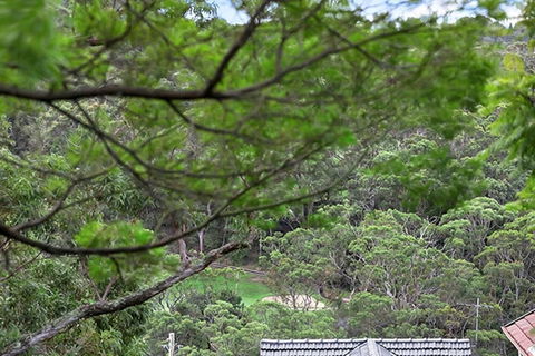 ALAN1 Leafy Tranquil Home - Accommodation Port Hedland 3