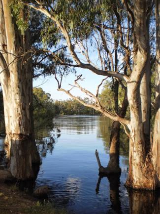 Barham Riverland Motel - Accommodation Port Hedland 1