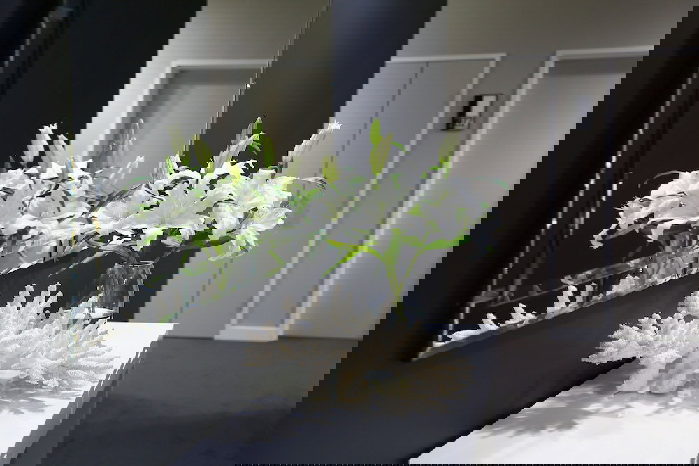 Carole Park QLD Accommodation Port Hedland