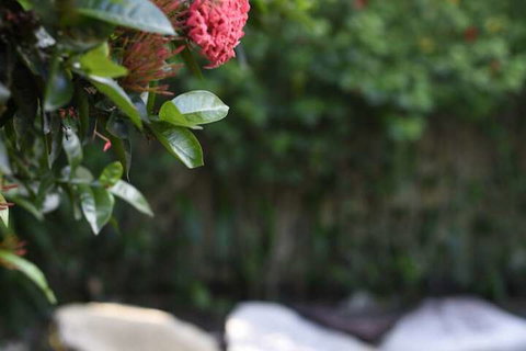 Sealords - Accommodation Port Hedland 3