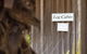 Maviss Cabins At Mt. Warning - thumb 4