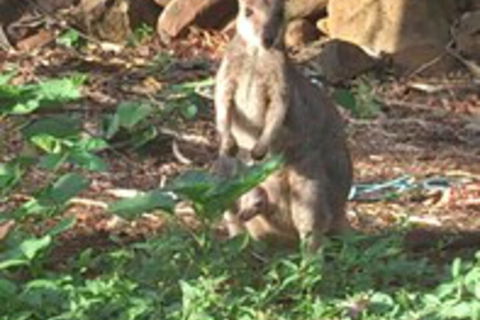 Sunbird Motel - Accommodation Port Hedland 1