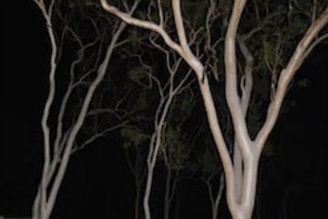 Sunbird Motel - Accommodation Port Hedland 4