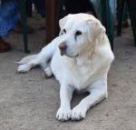 Nazaaray Beach House - Accommodation Port Hedland