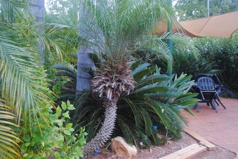 Kingaroy Holiday Park - Accommodation Port Hedland 1