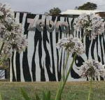 Zebras Guest House - Accommodation Port Hedland