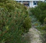 Polperro a quintessential seaside experience - Accommodation Port Hedland