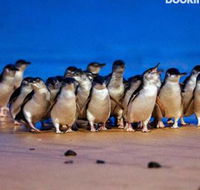Lantana - Accommodation Port Hedland