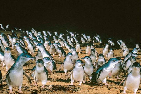 Affinity On Killara - Accommodation Port Hedland 1