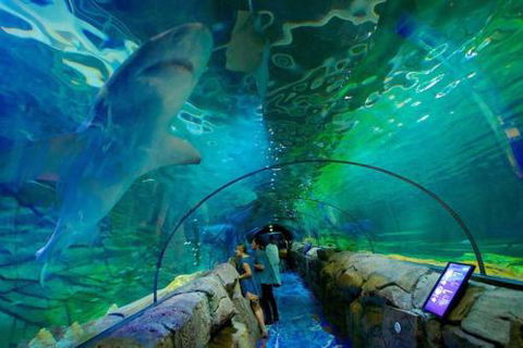 A Modern & Cozy Studio Next To Darling Harbour - Accommodation Port Hedland 6