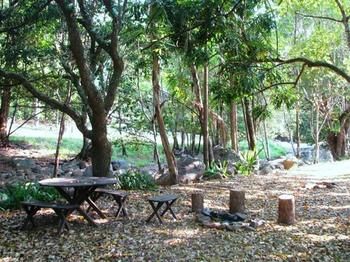 Mt Warning Holiday Park - Accommodation Port Hedland 2