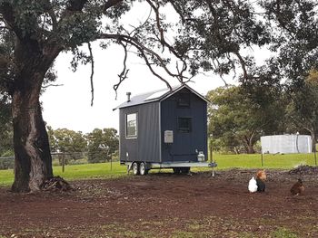 Big Tiny Dale View Tiny House - Accommodation Port Hedland 1
