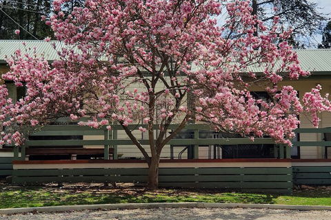 Annies Holiday Units - Accommodation Port Hedland 3