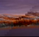 Wombat Hills Cottages - Accommodation Port Hedland