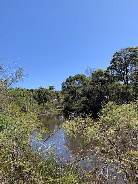 Denmark Forest Retreat - Accommodation Port Hedland 3