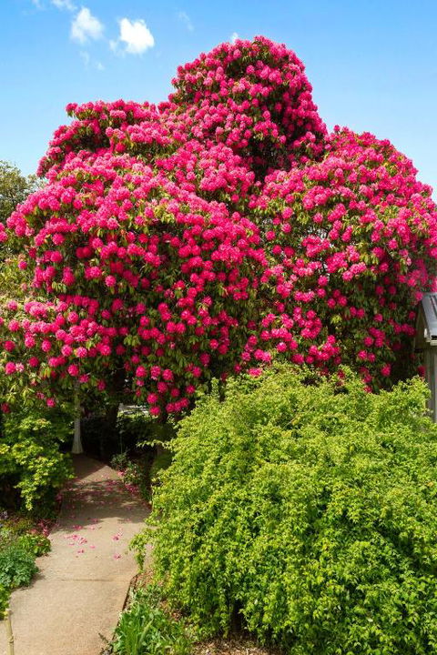Anabels Of Scottsdale - Accommodation Port Hedland 3