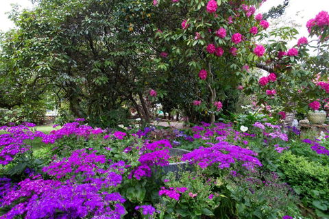 Anabels Of Scottsdale - Accommodation Port Hedland 2