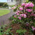 Anabels Of Scottsdale - Accommodation Port Hedland 0