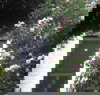 Ivy on Glenelg - Accommodation Port Hedland