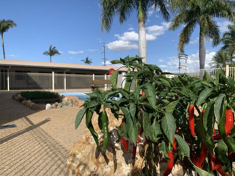 Silo Motor Inn - Accommodation Port Hedland 6