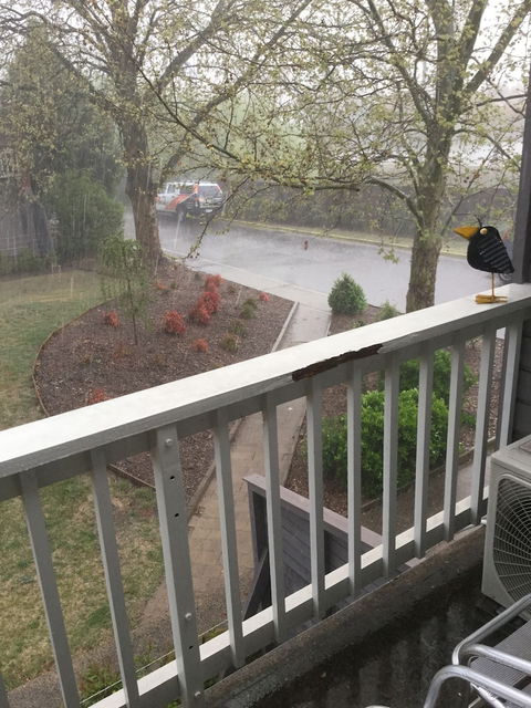 Alloggio Bathurst Apartments - Accommodation Port Hedland 6