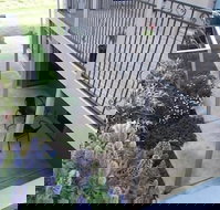 Swan Lake Guest House - Accommodation Port Hedland