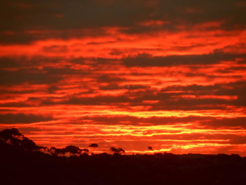 Tennessee Hill Chalets - Accommodation Port Hedland 0