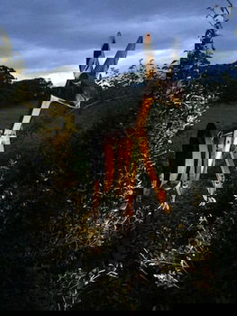 Anderida - Accommodation Port Hedland 4