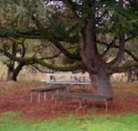 Auburn Shiraz Motel - Accommodation Port Hedland