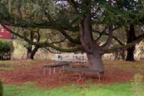 Auburn Shiraz Motel - Accommodation Port Hedland 0