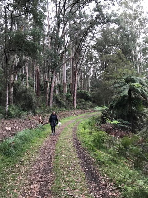 Warburton Holiday House - Accommodation Port Hedland 3