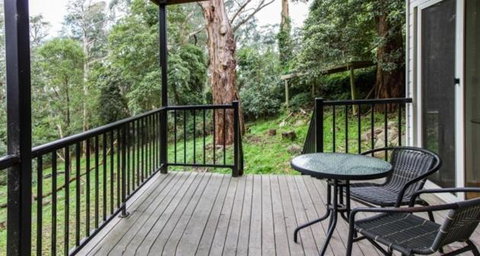 Clarelee Belgrave Accommodation - Accommodation Port Hedland 7