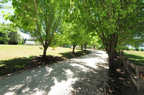 Daisy Cottage - Accommodation Port Hedland 7