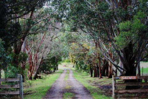 Galwiji Homestead - Accommodation Port Hedland 7